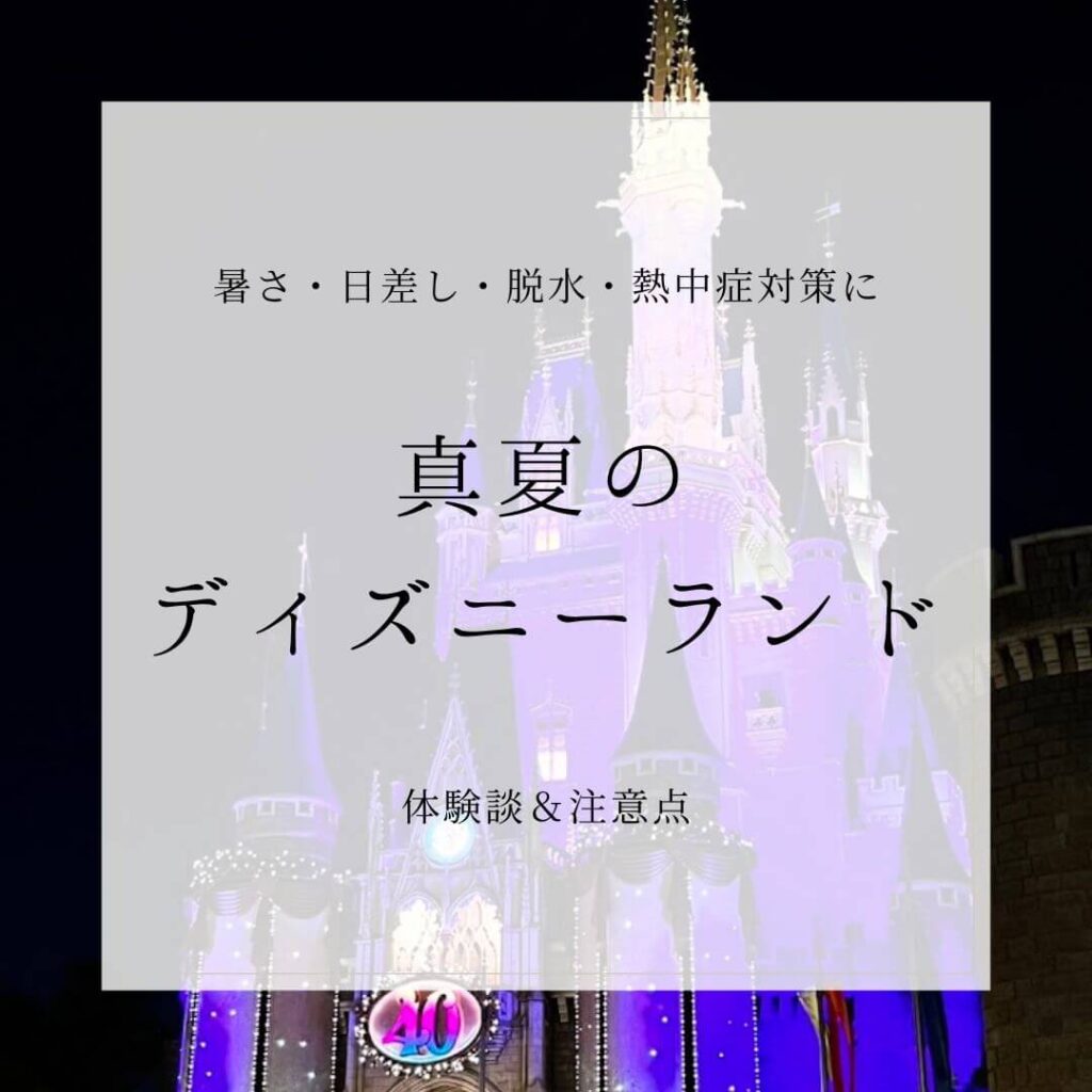 真夏のディズニーランド